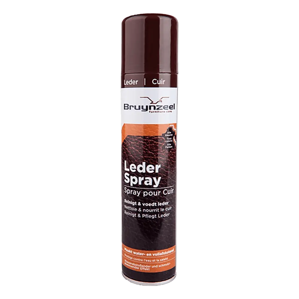 Bruynzeel Leder Spray 300ML