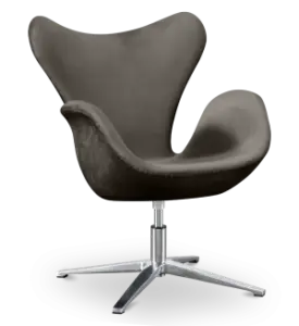 Sean Chair Zilver Grijs Velvet