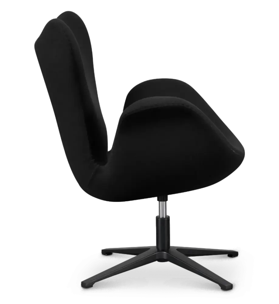 Sean Chair Zwart Kasjmier